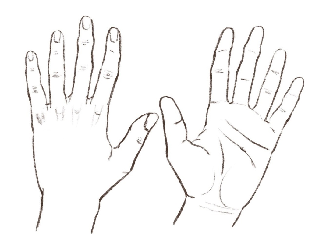 Как рисовать руку (кисть) человека
